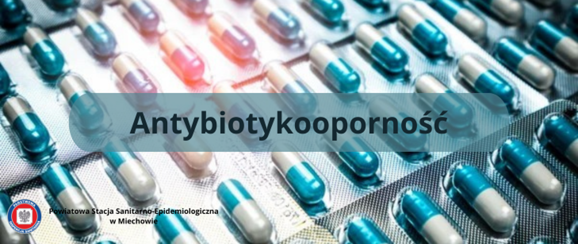 Antybiotykooporność