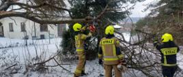 Strażacy przy pomocy pilarek do drewna usuwają zalegające konary drzewa z drogi. 