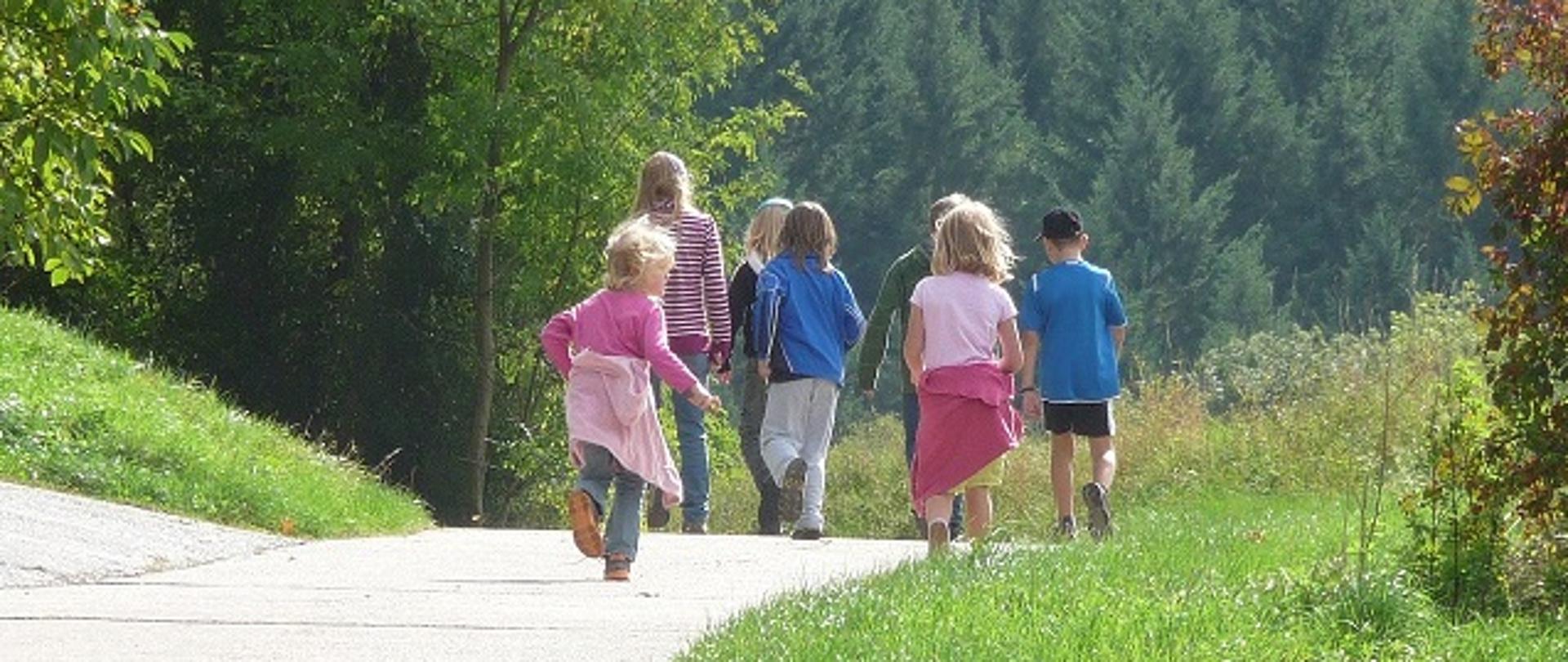 Grupa 7 dzieci na spacerze latem, idąca drogą wokół łąk i przed lasem.