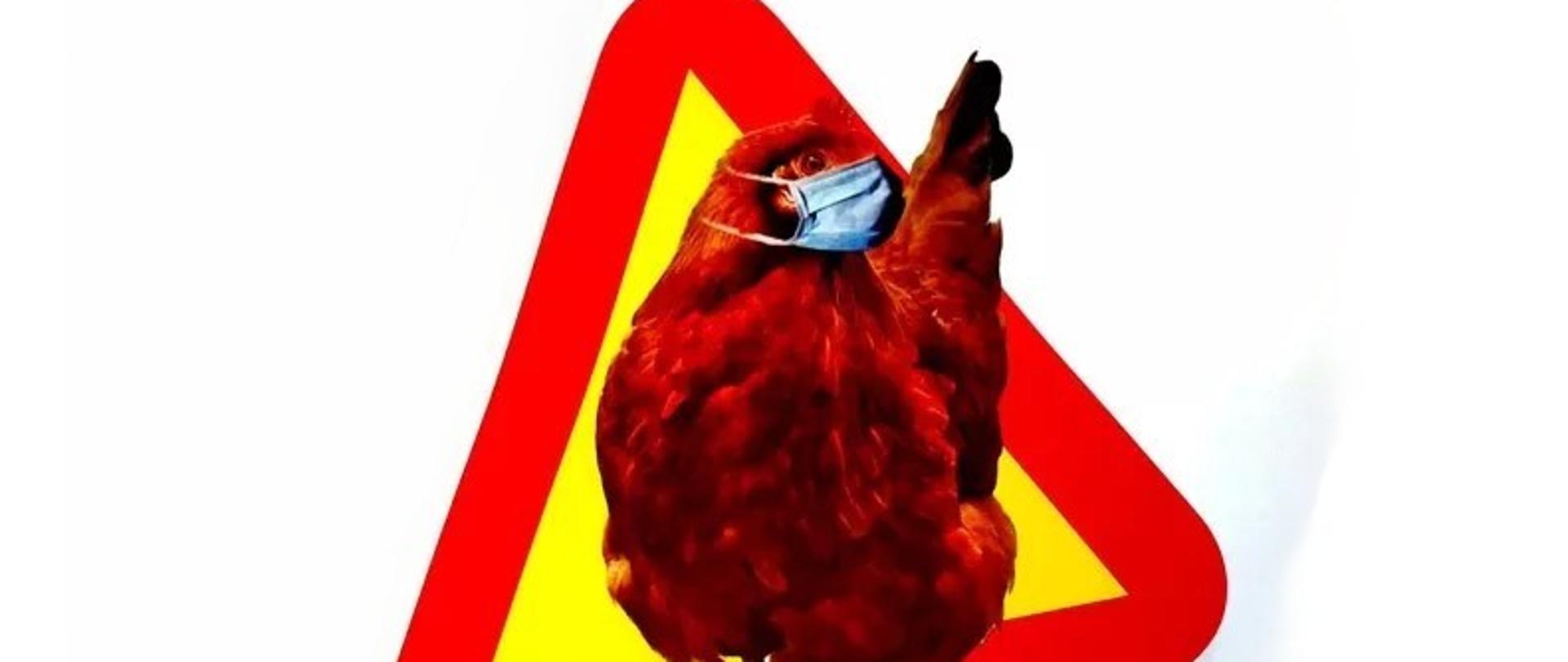 Wysoce zjadliwa grypa ptaków -dawniej drobiu 