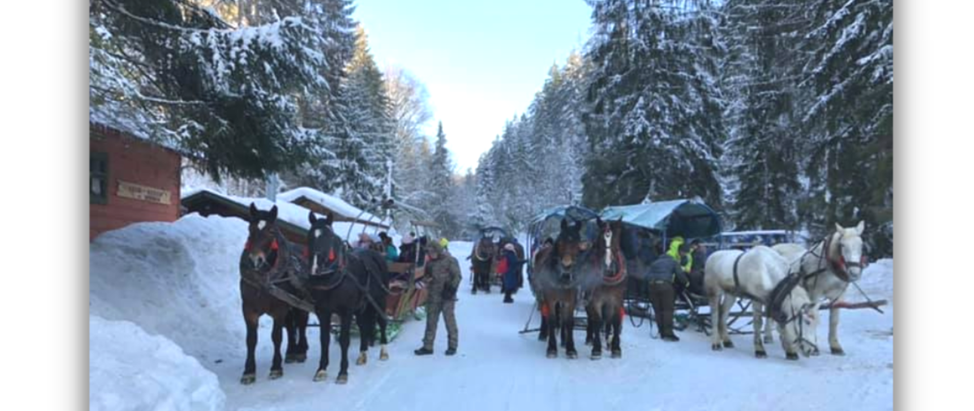 na białym tle z nadrukiem w jasnoszare gwiazdki i śnieżki trzy zdjęcia kuligu oraz dzieci podczas zabaw na śniegu. W lewym górnym rogu logo szkoły, na dole na środku pingwin z niebieską chmurką z datą wydarzenia
