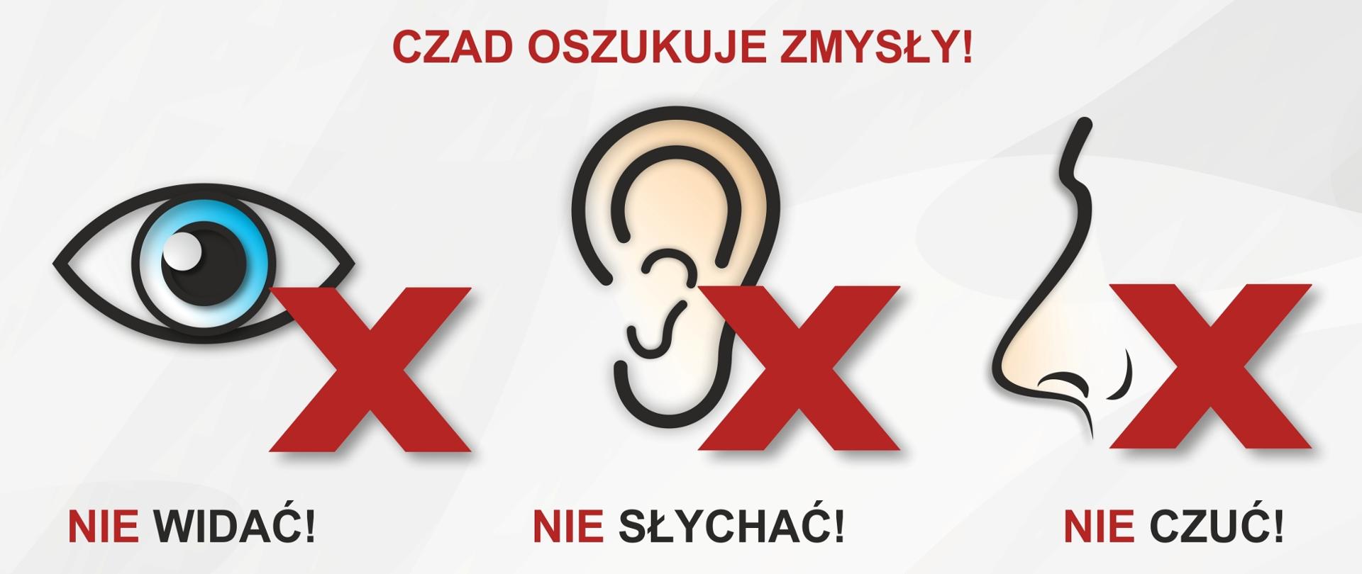 Czujka na straży Twojego bezpieczeństwa!