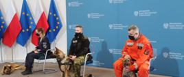 Konferencja prasowa w sprawie ustawowego uregulowania opieki nad zwierzętami w służbach podległych MSWiA