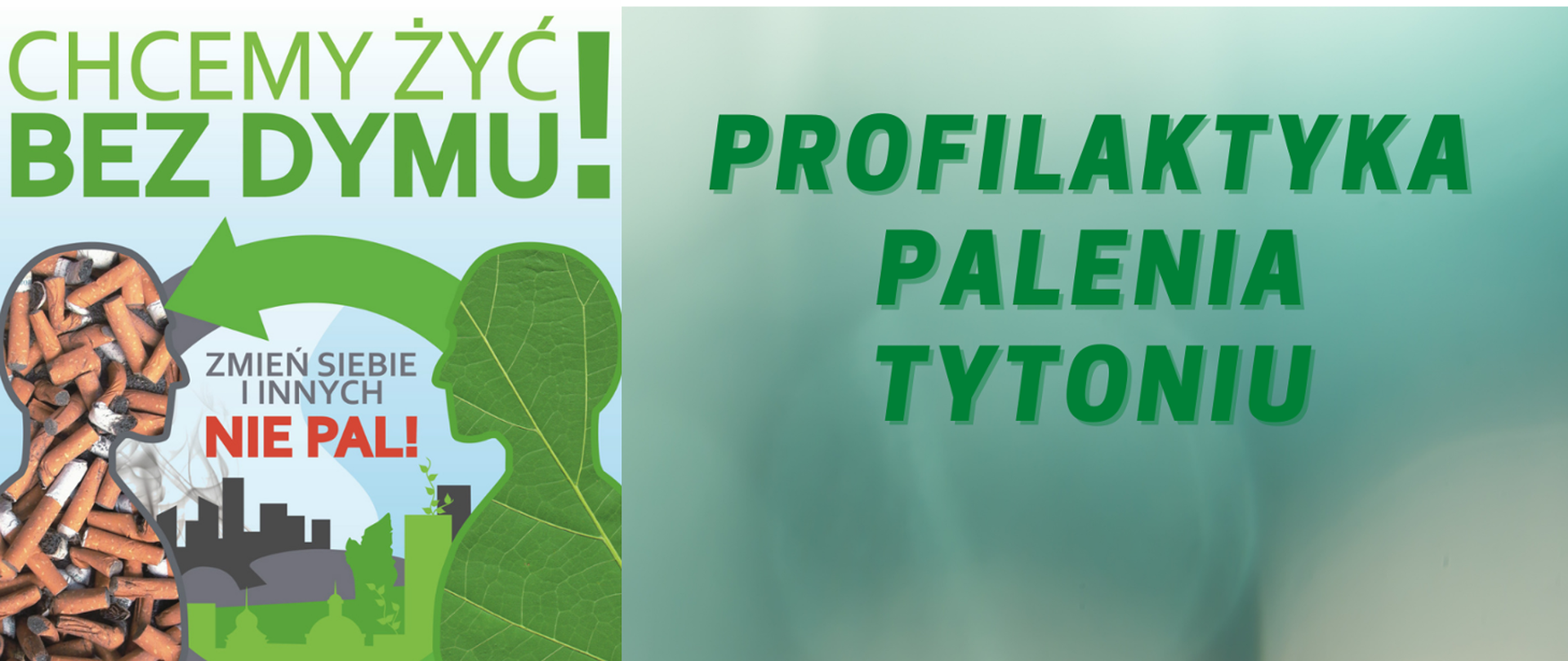 Po lewej stronie plakatu dwie postacie ludzkie. Pierwsza ułożona z niedopałków papierosów, druga ukształtowana z zielonego liścia. Pomiędzy nimi hasło: Zmień siebie i innych. Nie pal. Po prawej stronie plakatu widnieje napis Profilaktyka Palenia Tytoniu.