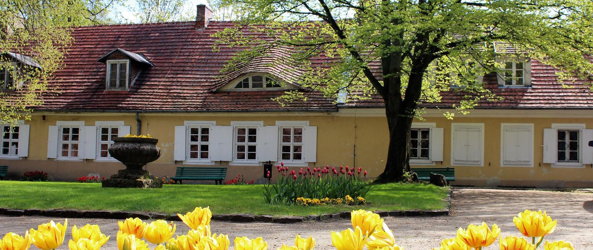 Muzeum Ziemi Międzyrzeckiej im. Alfa Kowalskiego 