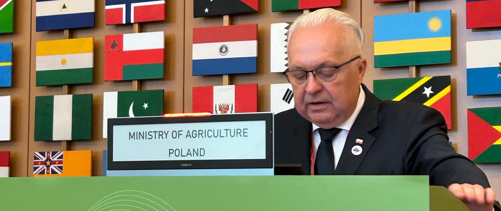 Wiceminister Rolnictwa i Rozwoju Wsi Jacek Czerniak podczas Konferencji Ministerialnej UE - UA