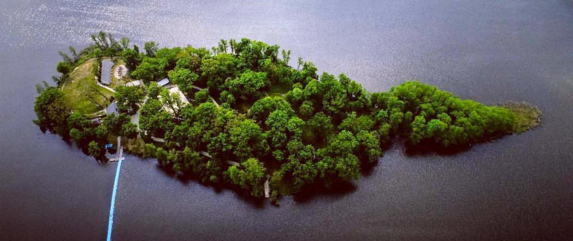 WYSPA EDWARDA Z LOTU PTAKA