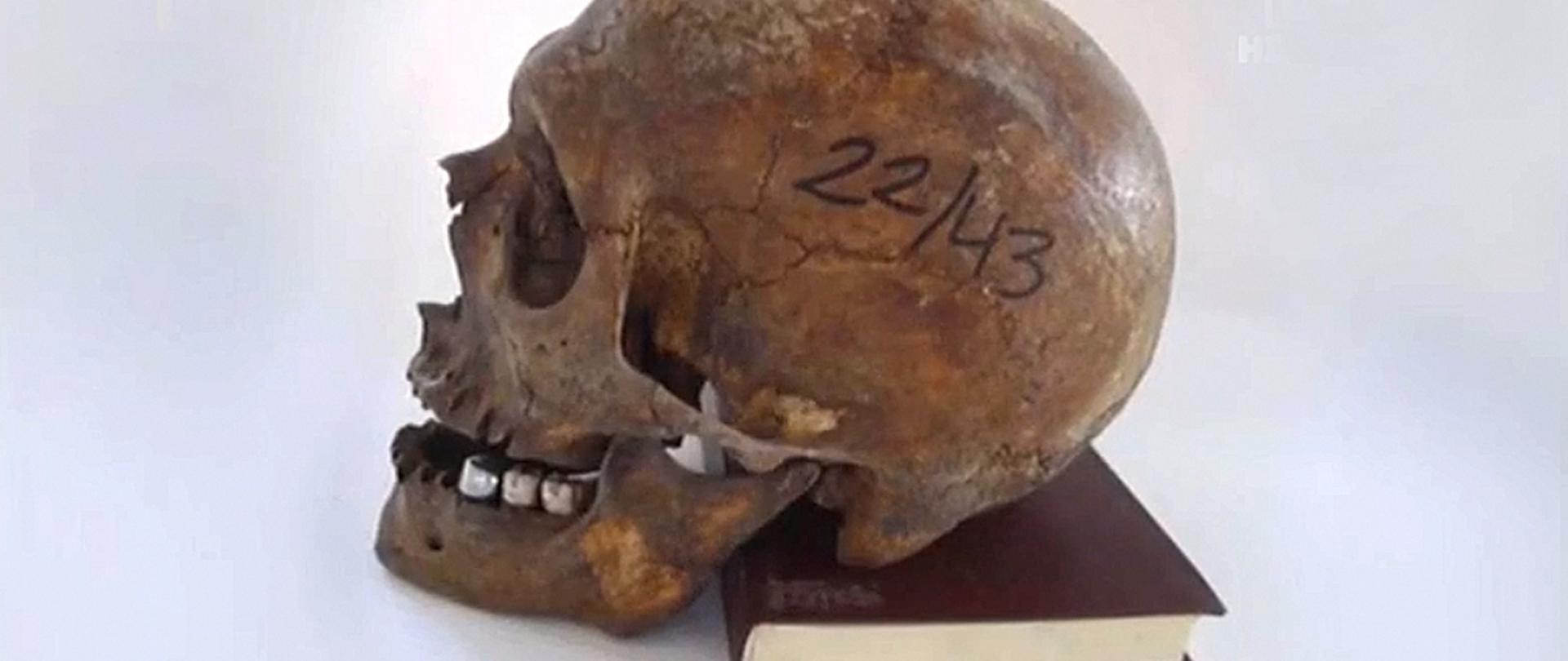 Czaszki z Katynia-baner
