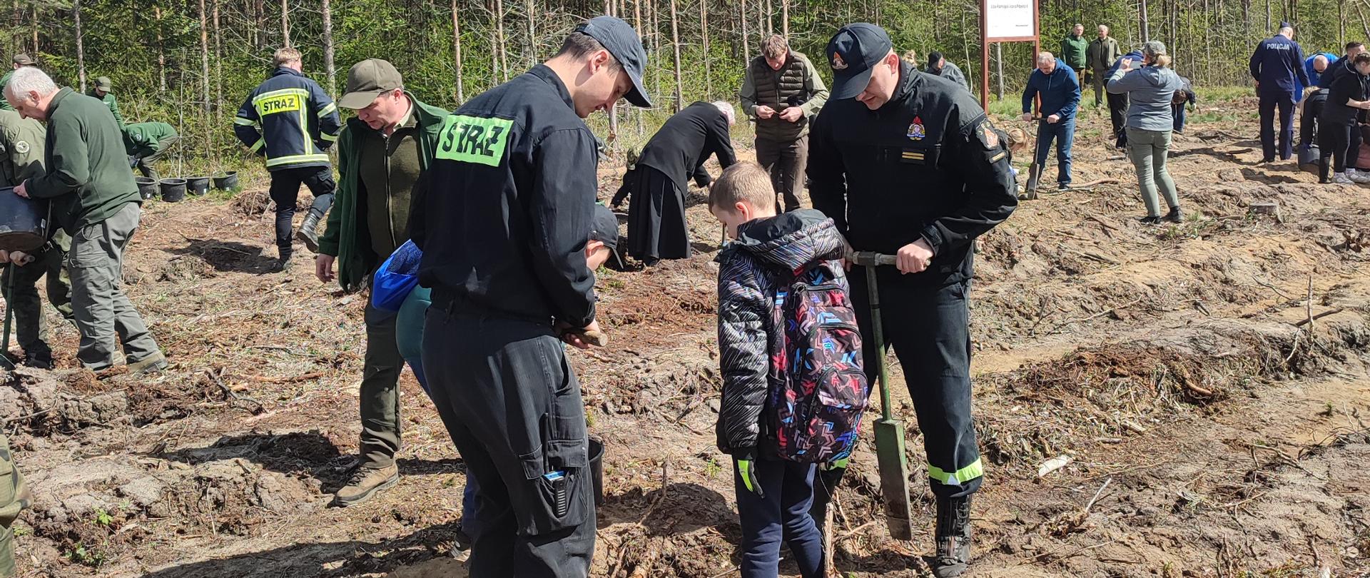 Strażacy oraz inni uczestnicy w trakcie sadzenia lasu
