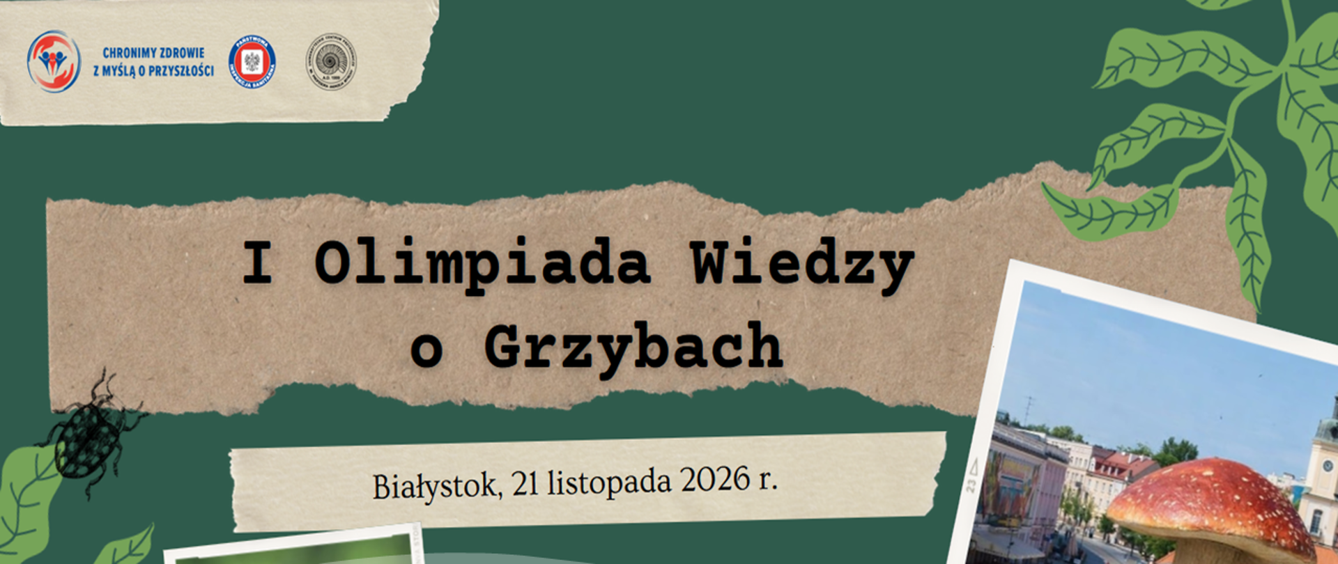 Grafika informacyjna na zielonym tle o pierwszej olimpiadzie wiedzy o grzybach. Fragmenty zdjęć z grzybami oraz teksty.
