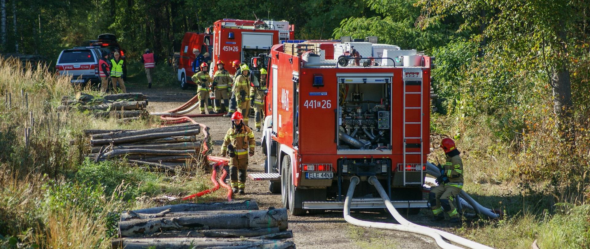 strażacy i wozy strażackie stojące wzdłuż drogi w lesie, do samochodów podłączone są węże strażackie, po lewej stronie drogi składowane są w trzech kupkach wycięte pnie drzew