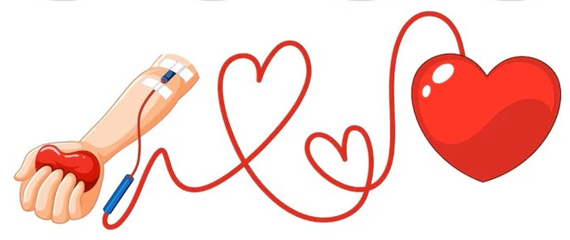 Grafika obrazująca pobieranie krwi: krew pobierana ze zgięcia łokciowego płynie rurką układającą się w kształt serduszek do stylizowanego serca.