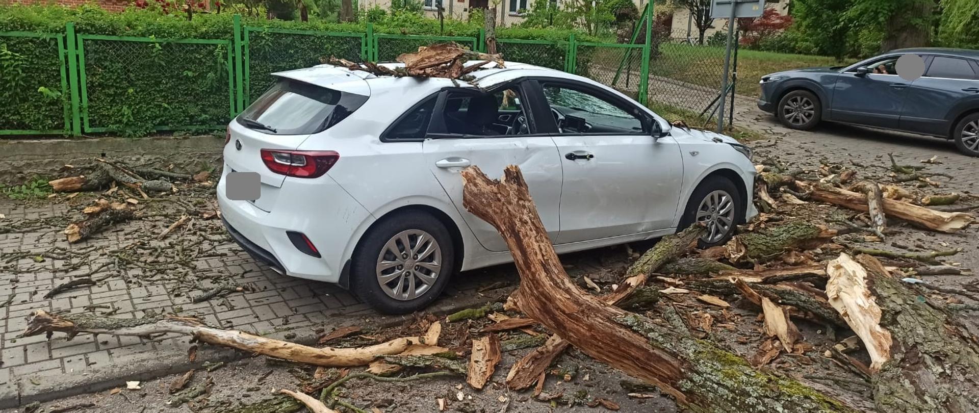 Na chodniku zaparkowane białe auto osobowe na które spadł suchy konar drzewa. Na samochodzie i drodze fragmenty konara.