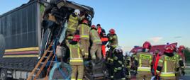 Strażacy wykonują dostęp do uwięzionego w kabinie kierowcy ciężarówki przy użyciu narzędzi hydraulicznych, w tle samochód strażacki. Rozsypane zboże na jezdni.