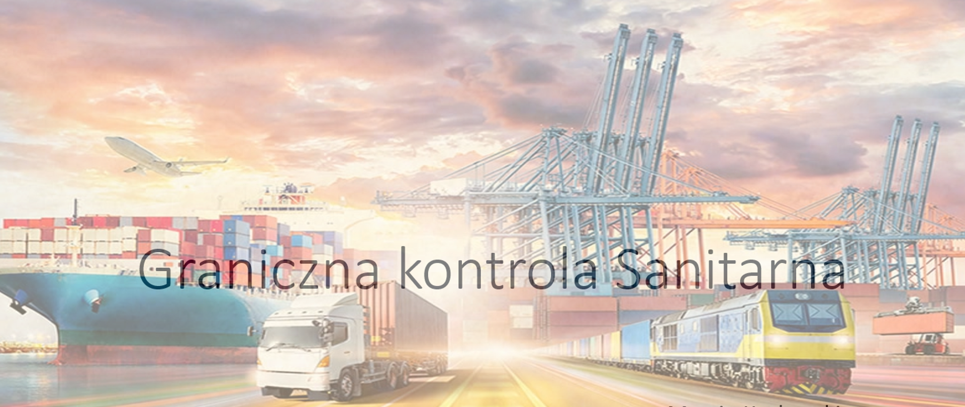 temat szkolenia pracowników pionu Bezpieczeństwa Żywności, Żywienia i Kosmetyków - Graniczna kontrola Sanitarna