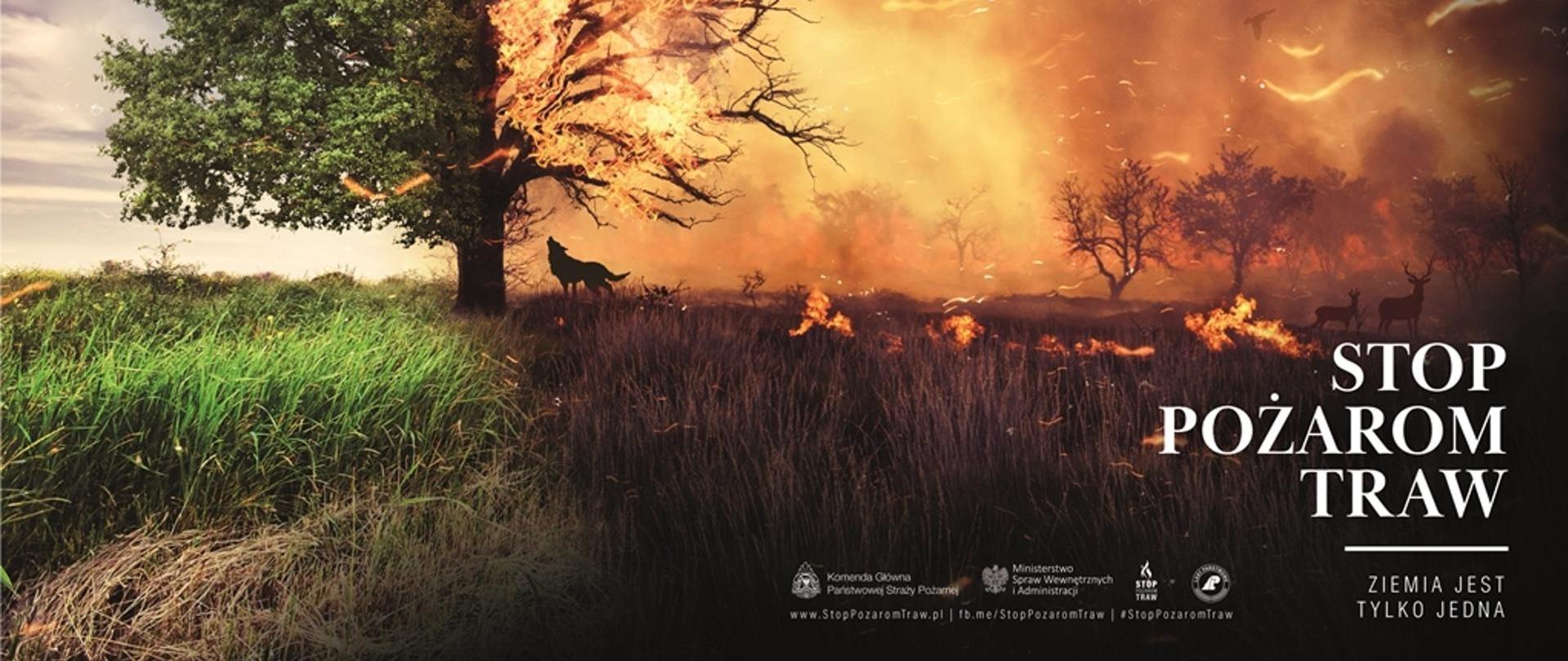 Obraz przedstawia jeden z materiałów informacyjnych kampanii „STOP POŻAROM TRAW”!!! Prawa część ilustracji przedastwia obszar objęty pożarem, w którym znajdują sę zwierzęta