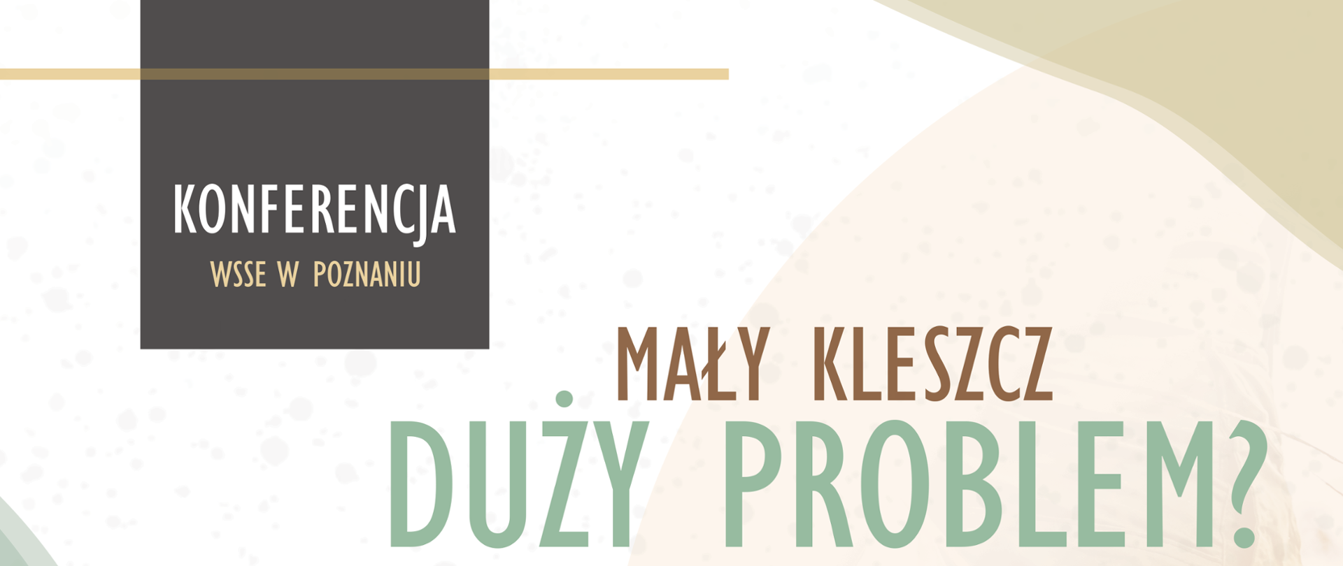 Konferencja WSSE w Poznaniu 