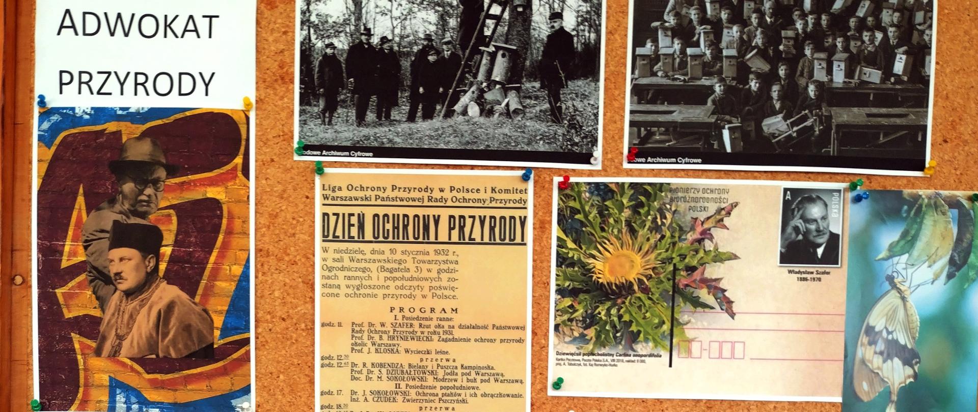 Fragment wystawy poświęconej 55. rocznicy śmierci prof. Władysława Szafera