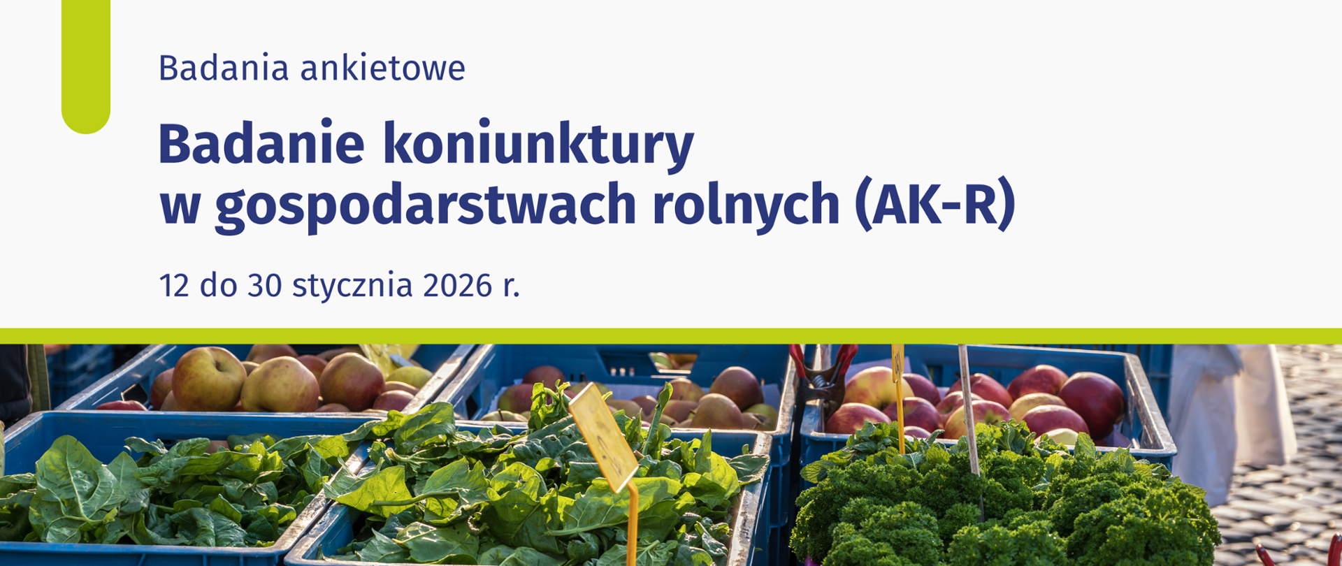 Obraz przedstawiający owoce i warzywa na straganie