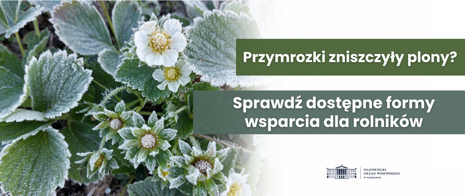 Wsparcie dla rolników
