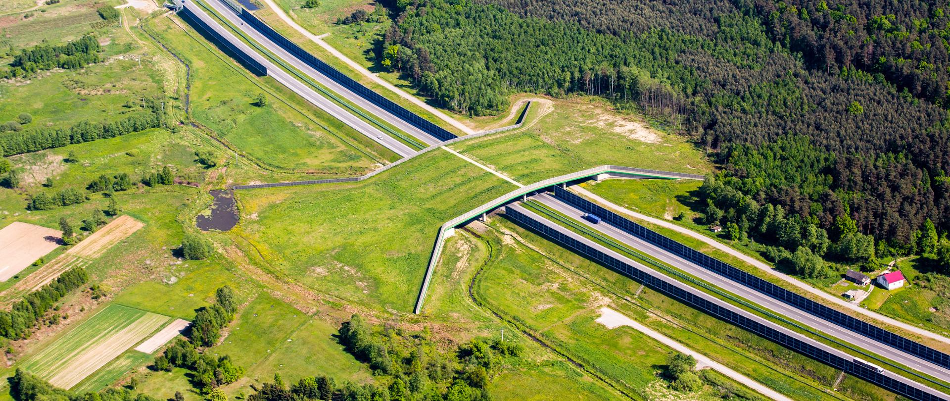 Widok z lotu ptaka na przejście dla zwierząt nad A4