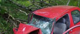 Widoczny czerwony samochód osobowy, uszkodzony po wypadku, widoczne połamane drzewa