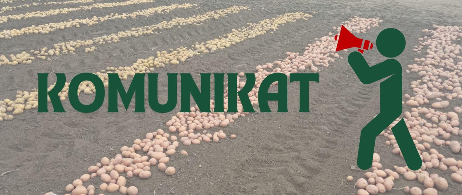 Komunikat