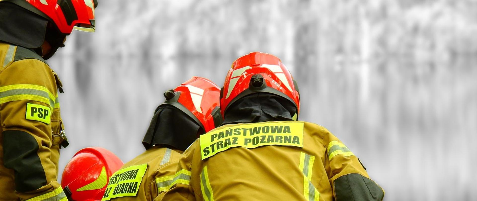Zdjęcie przedstawia strażaków PSP, którzy ubrani w umundurowanie specjalne z hełmami na głowie podejmują działania. Strażacy znajdują się plecami do osoby patrzącej na zdjęcie.