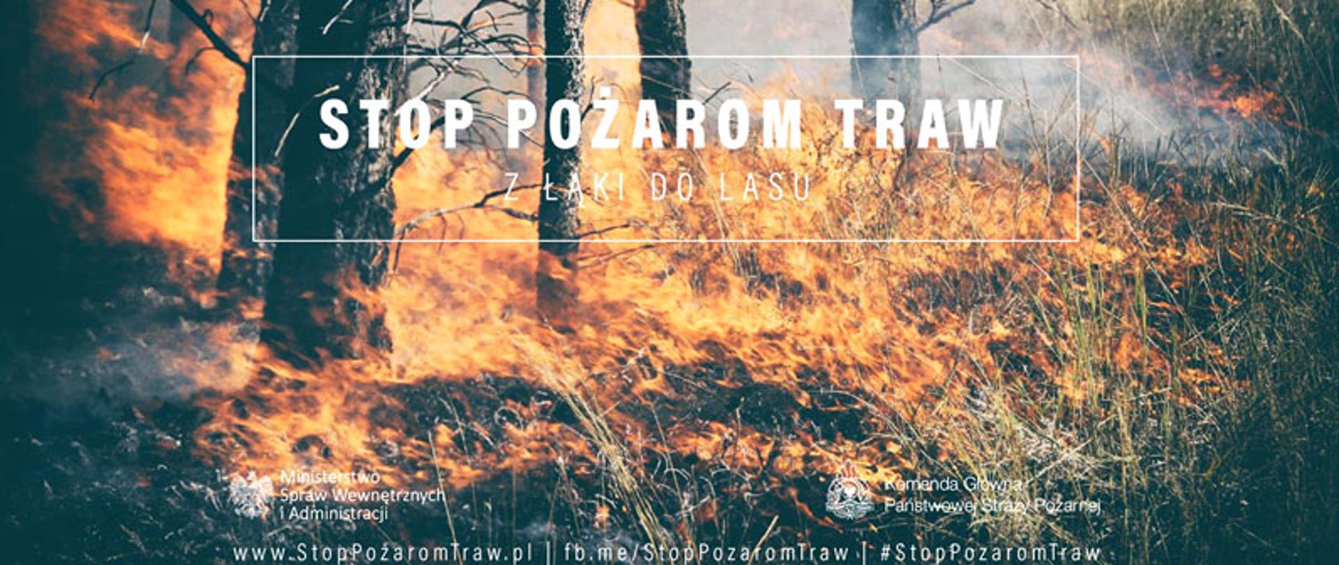 Stop pożarom traw - Pożar trawy w lesie