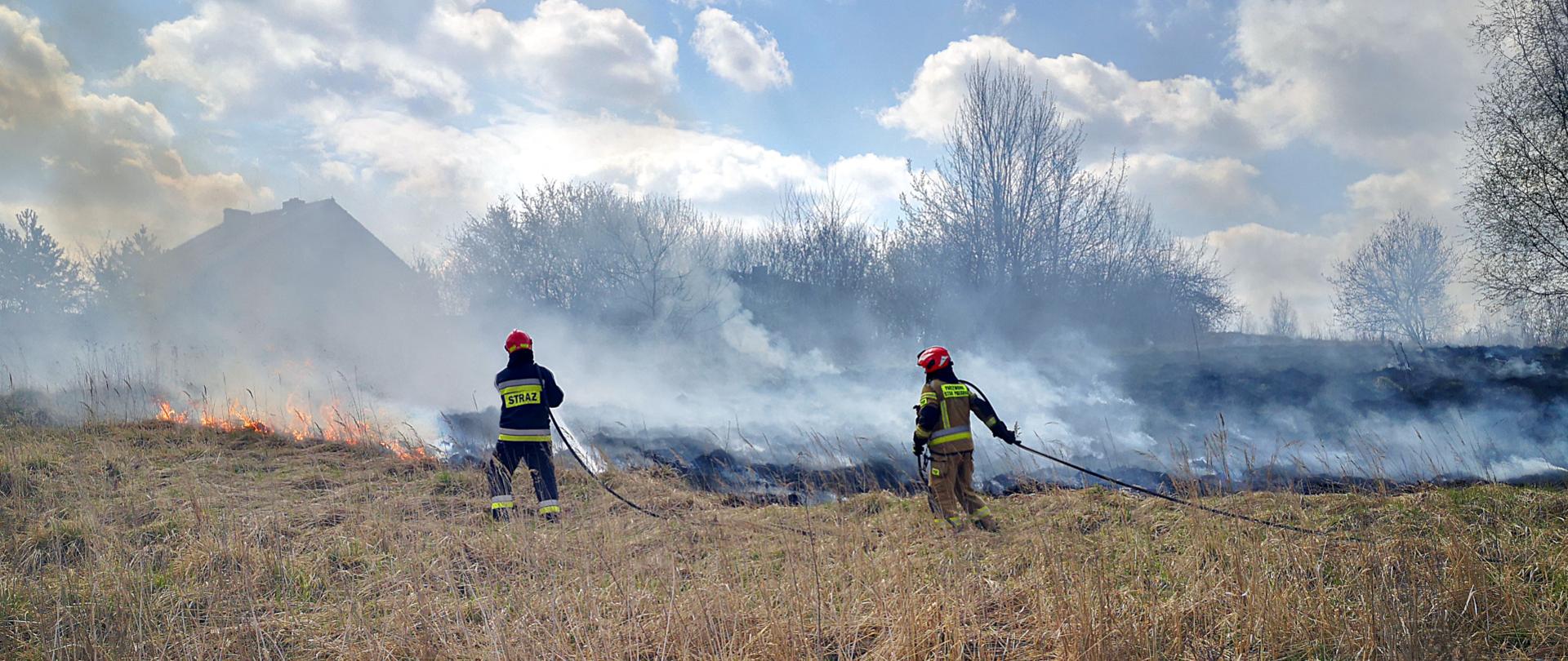 zdjęcie przedstawia pożar suchej trawy na łące. Dwóch strażaków w ubraniach specjalnych gasi pożar przy pomocy węży. W tle widać dom pośród drzew.