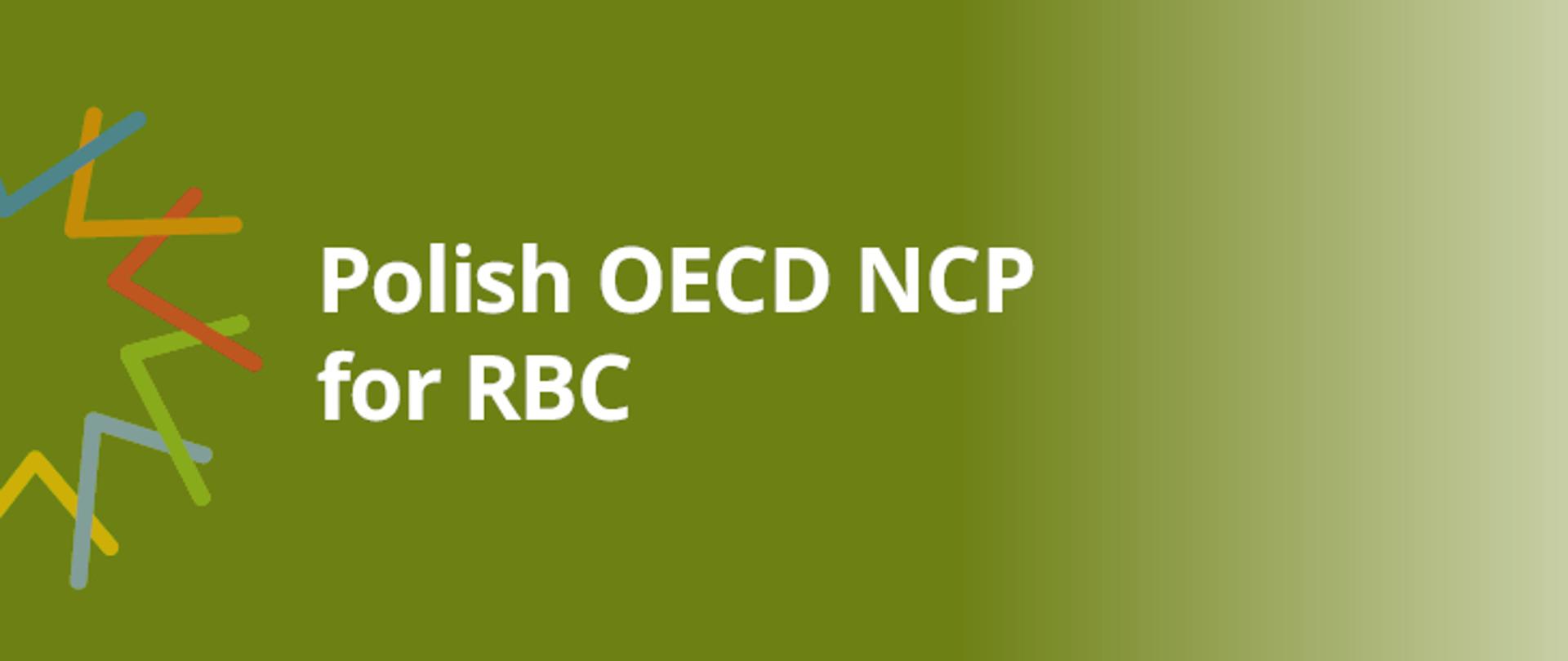 Kafelki_Polish_OECD_NCP
