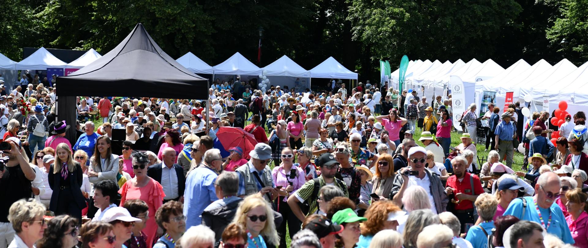 Senioralia w Krakowie 2025