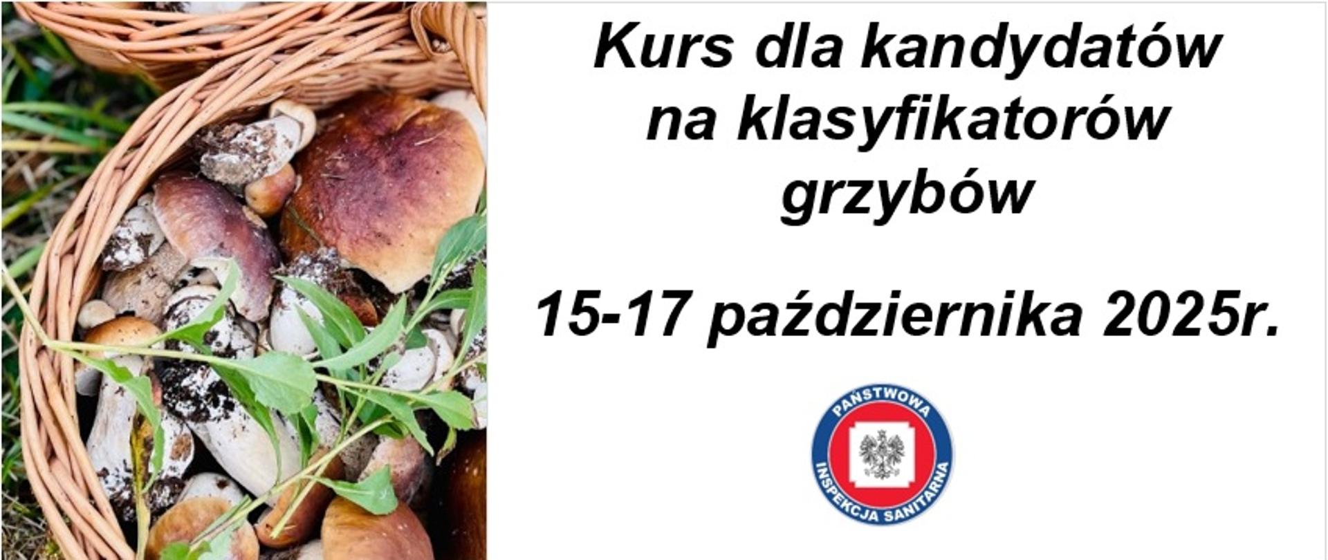Kurs klasyfikatora grzybów