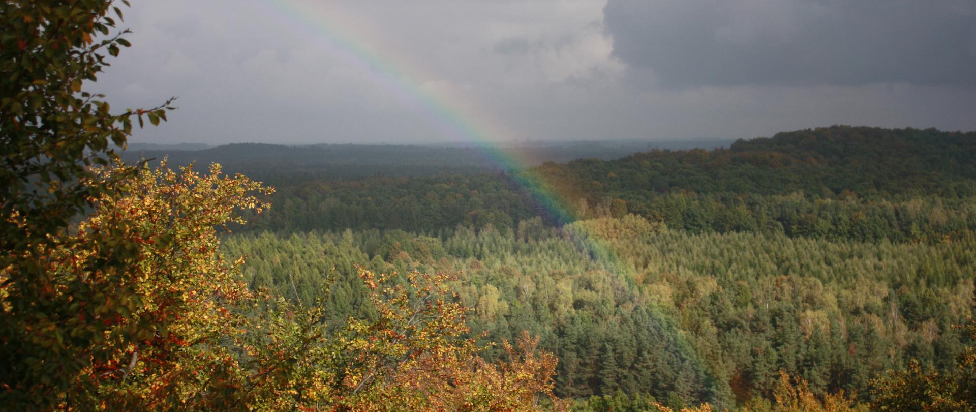 Zdjęcie przedstawia perspektywę rezerwatu - widok na las, nad nim zachmurzone niebo i tęcza 