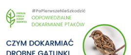 PoPierwszeNieSzkodzić – ptasie dokarmianie