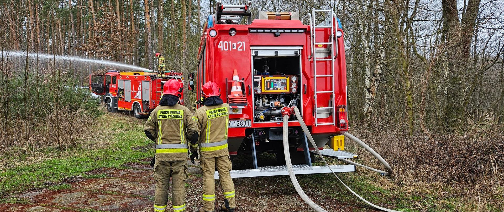 Zdjęcie przedstawia strażaków w trakcie ćwiczeń.
W tle drzewa.
