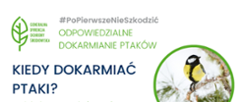 PoPierwszeNieSzkodzić – ptasie dokarmianie