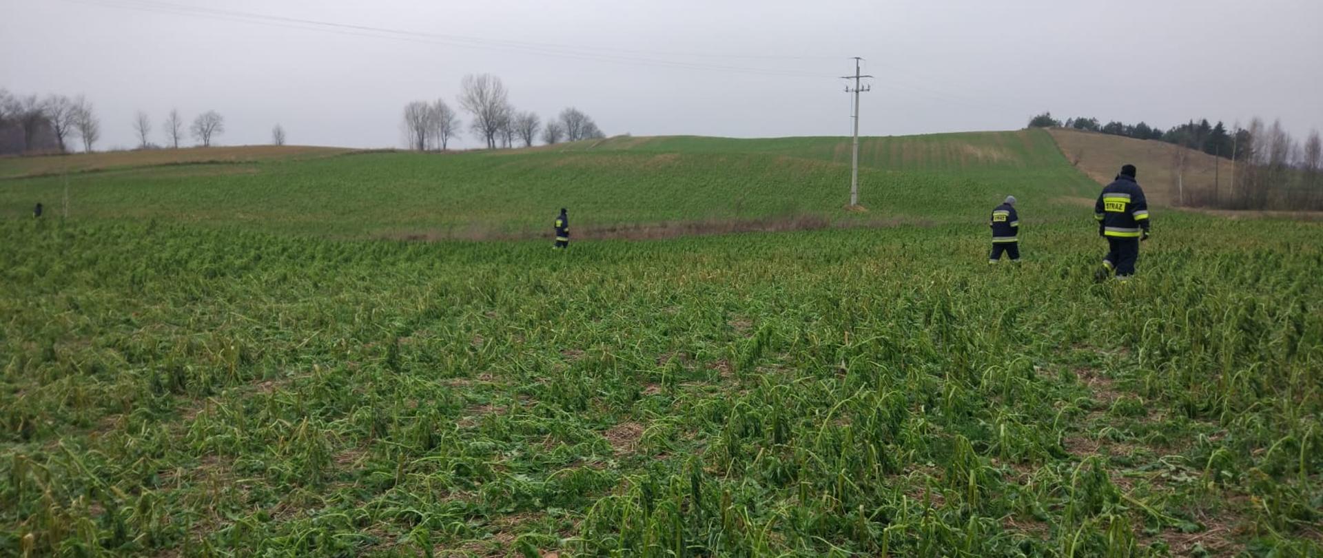 poszukiwania zaginionego mieszkańca Białogór