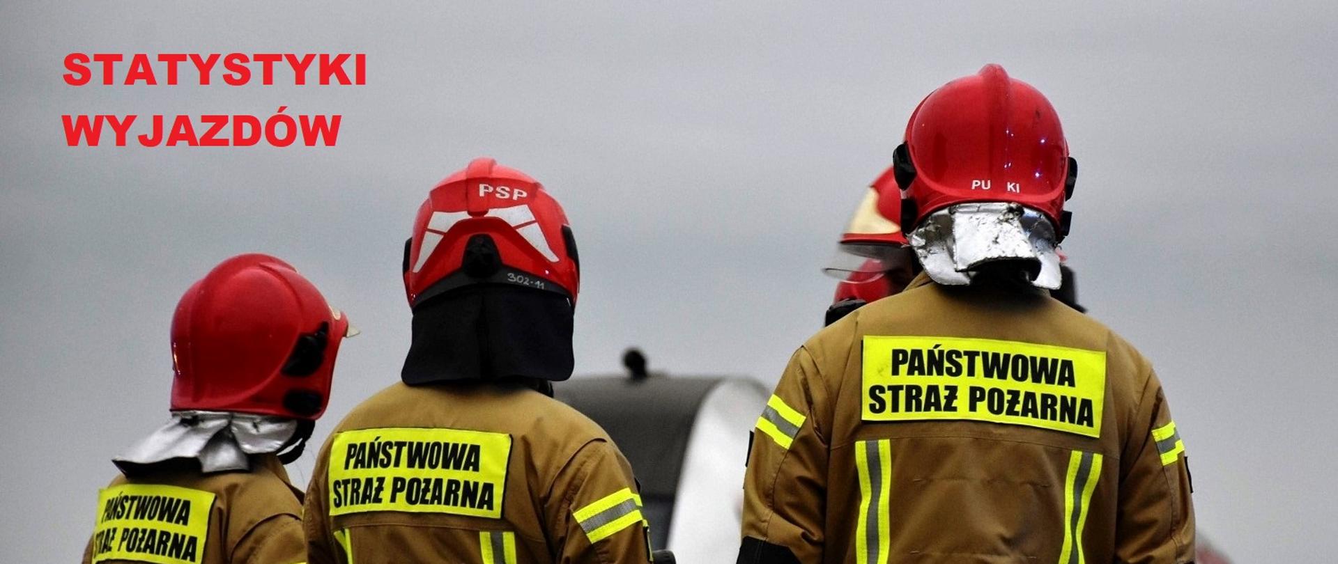 Zdjęcie przedstawia trzech strażaków w ubraniach typu nomex, na głowie mają hełmy w kolorze czerwonym. W tle widać niebo.