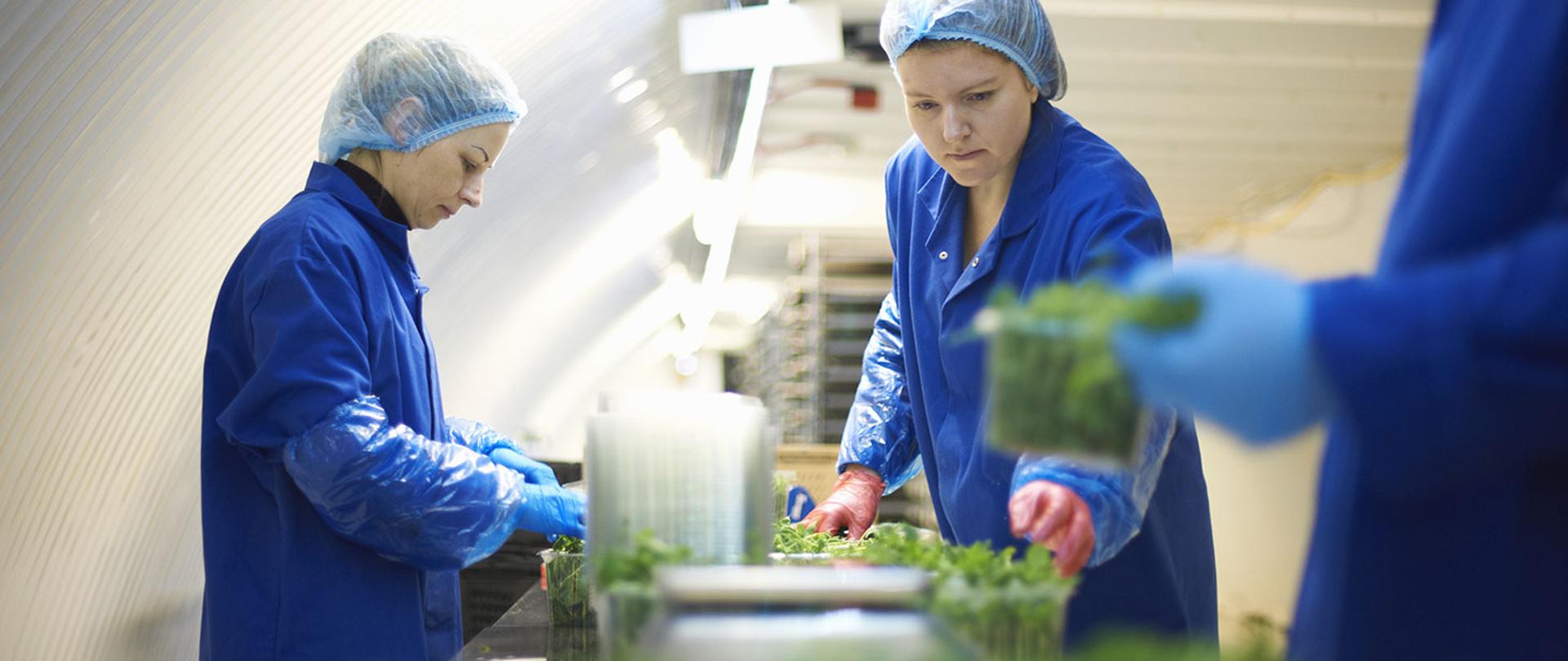 Już 100 tys. osób z Ukrainy pracuje na mocy specustawy