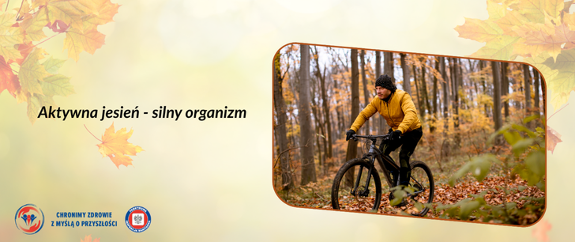 Na żółto zielonym tle z jesiennymi liśćmi klonu po prawej stronie zdjęcie w ramce przedstawiające mężczyznę w żółtej kurtce jadącego na ciemnym rowerze przez las. Po lewej stronie ciemny napis Aktywna jesień silny organizm. W lewym dolnym rogu logo Państwowej Inspekcji Sanitarnej wraz z hasłem Chronimy zdrowie z myślą o przyszłości. 