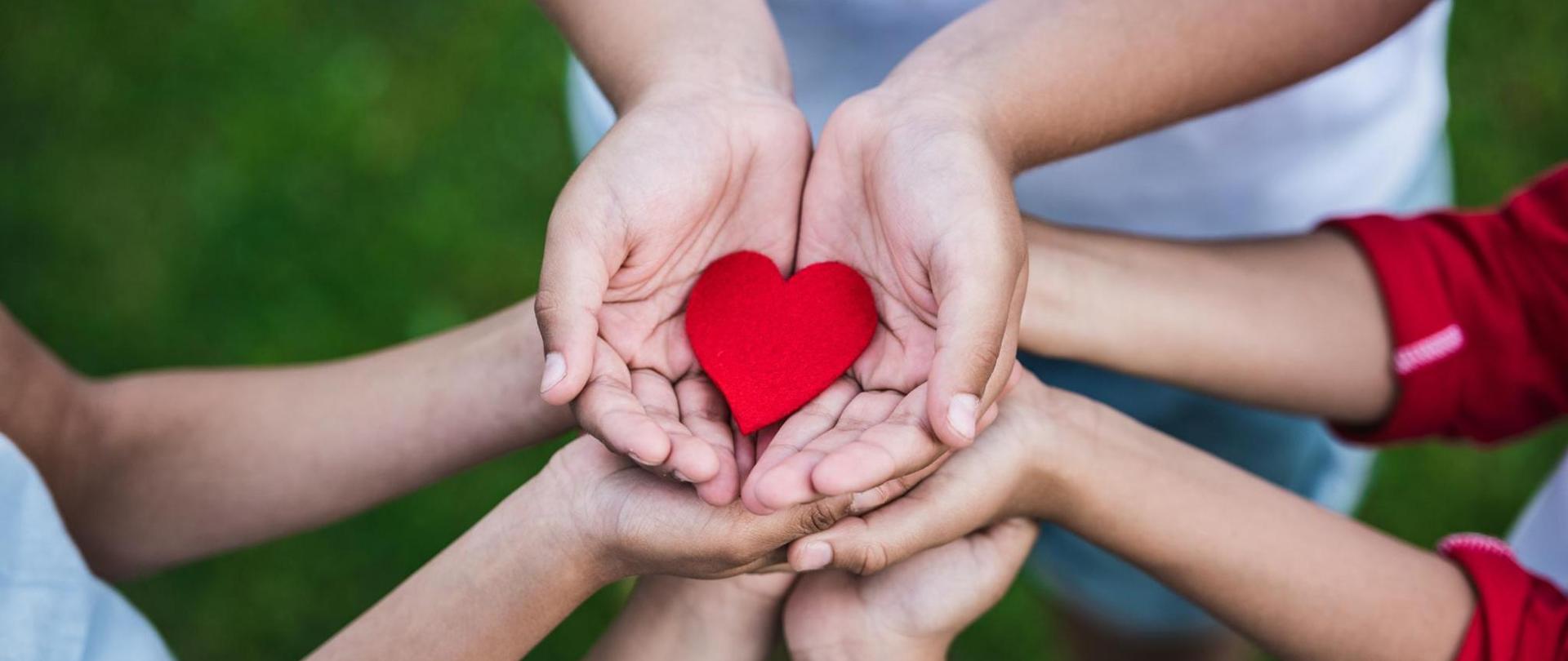 Na zdjęciu znajduje się papierowe serce trzymane na dłoniach.