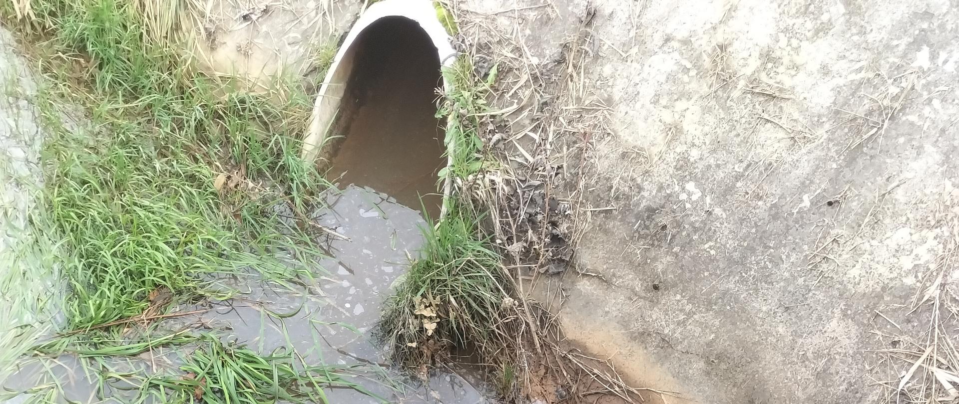 Zanieczyszczenie rowu odwadniającego w Pyrzowicach