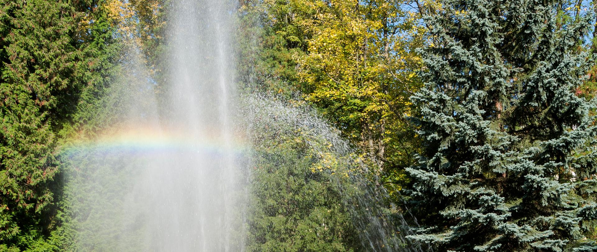 Fontanna w parku, w wytryskującej wodzie widać tęczę (rozszczepienie światła w kroplach wody fontanny)