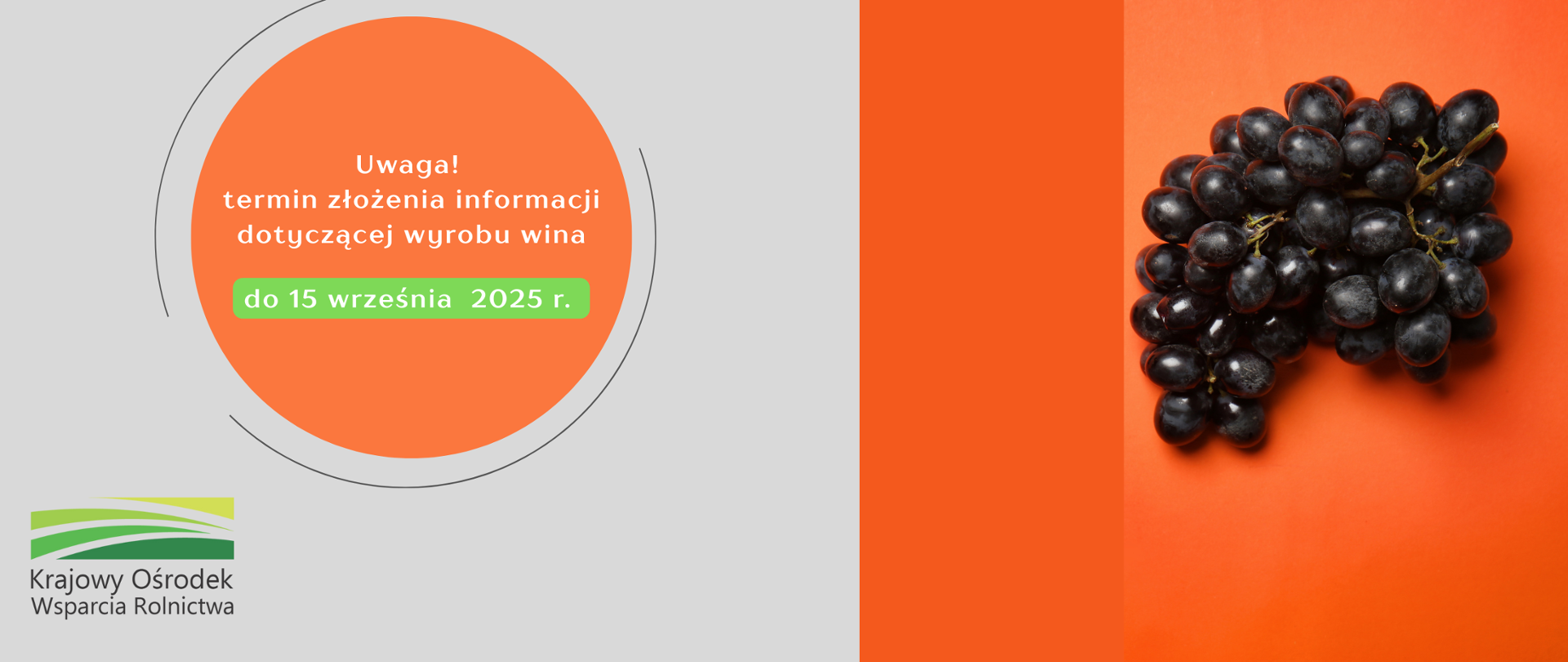 Grafika z winogronami oraz napisem Termin złożenia informacji dotyczącej wyrobu wina