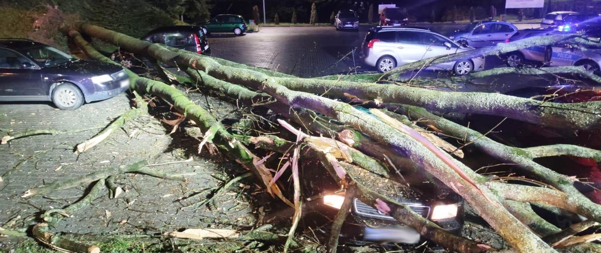 Drzewa leżące na parkingu pośród samochodów