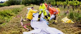 Kilku mężczyzn - strażaków, układających worki z piaskiem na brzegu rzeki.