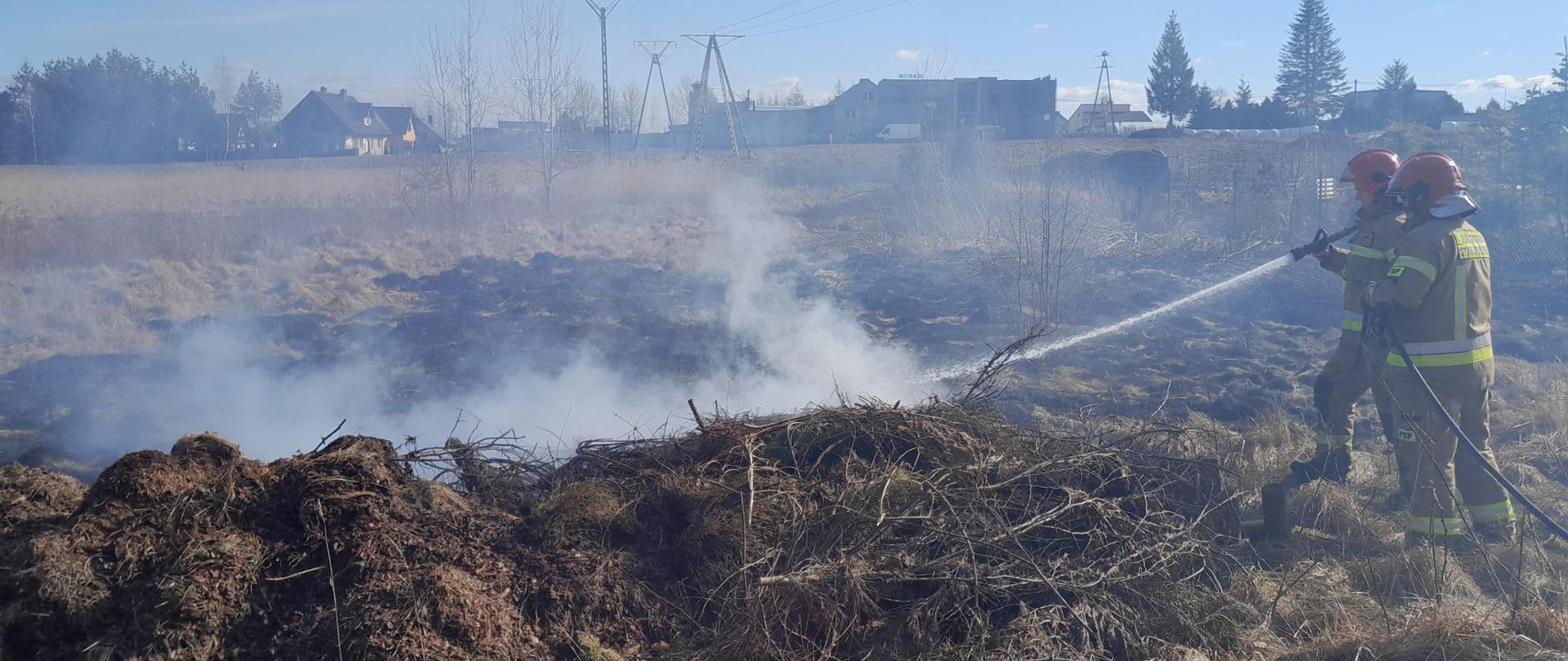 Dwóch strażaków podających prąd wody na palącą się suchą trawę na nieużytku.