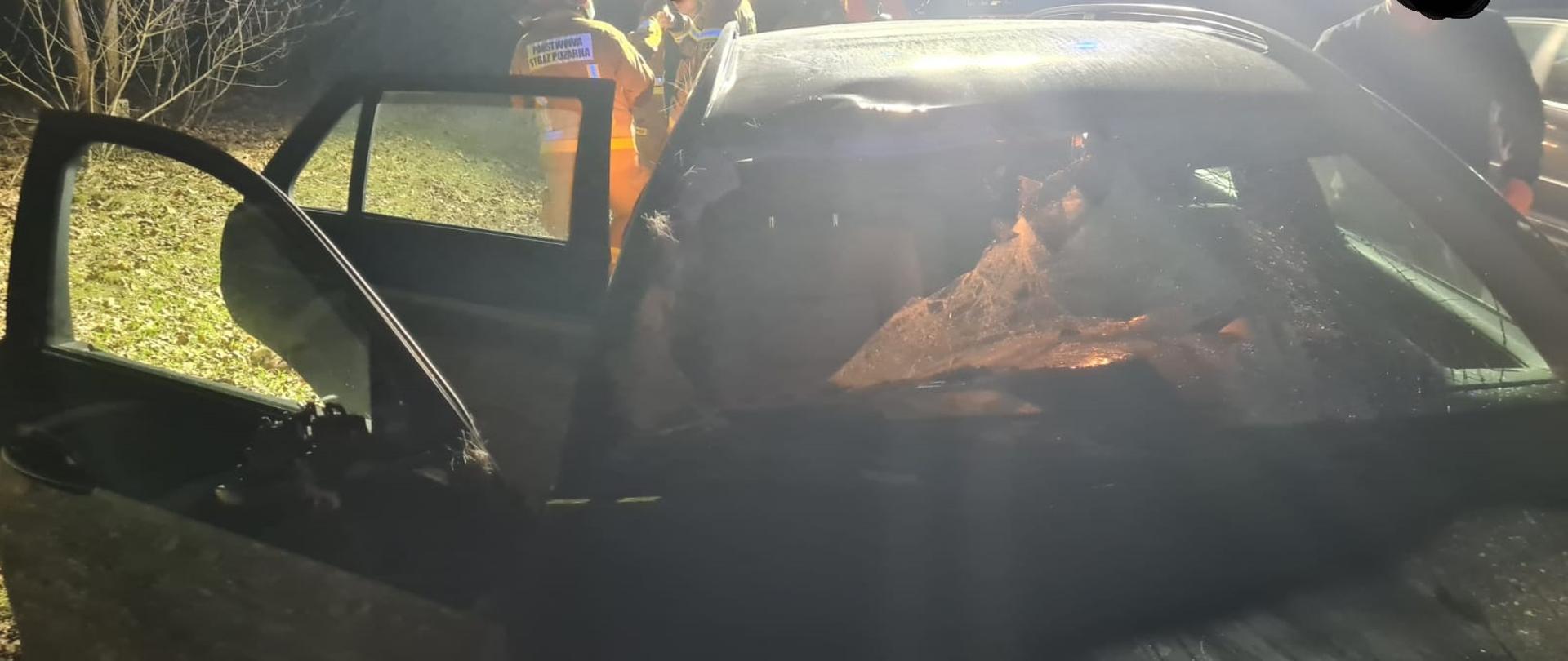 Uszkodzony pojazd po zderzeniu z łosiem