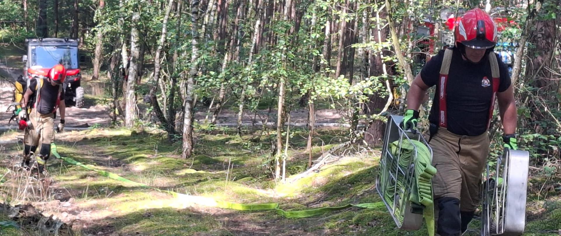 Ćwiczenia na kompleksie leśnym – Leśnictwo Kolno